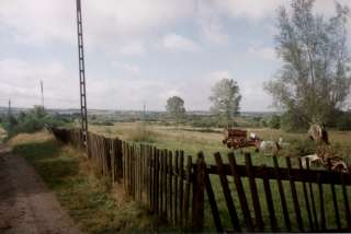 Neu Parpart - Blick nach Westen