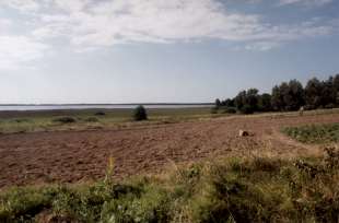 Blick auf den Buckower See, hinter dem Horizont: die Ostsee