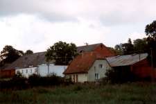 Ausschnitt über die Wiese